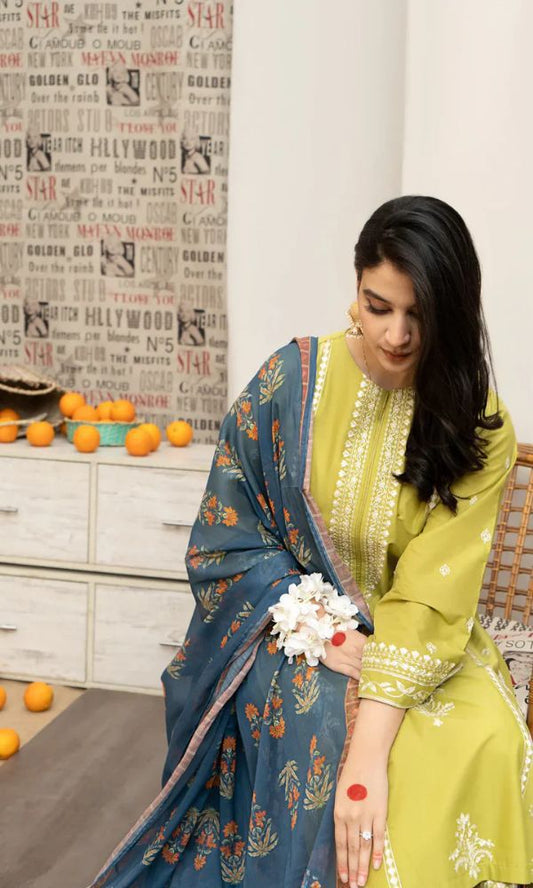 3-piece Dhanak Suit with Heavy Embroidered Shawl