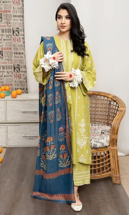 3-piece Dhanak Suit with Heavy Embroidered Shawl